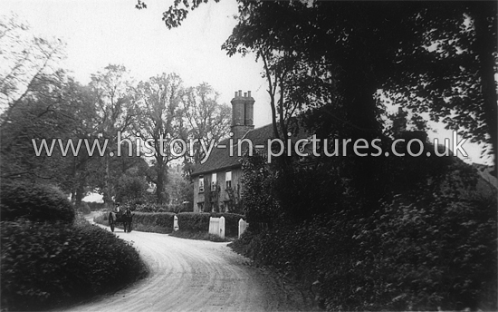 A View of Hatfield Peverel, Essex. c.1910